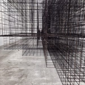 photographie par marion leflour